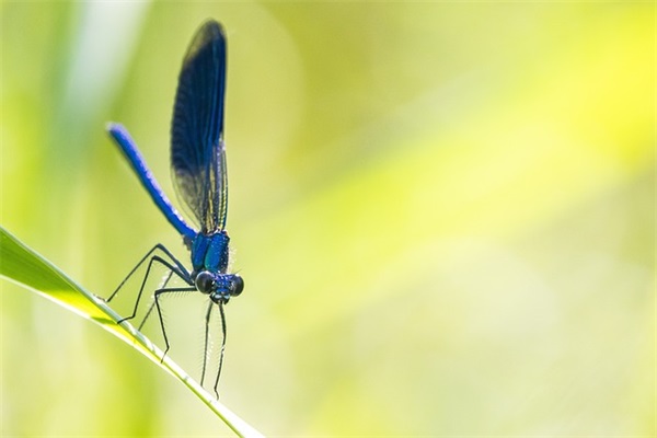 男生的网名带翻译