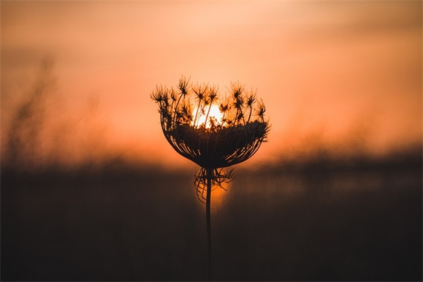 盘点那些好笑的网名男生