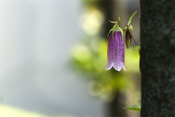特别幽默的男生网名