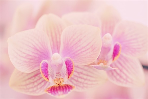 男生高级网名及头像