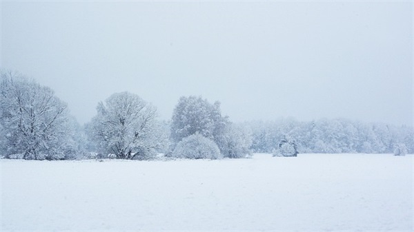 男生网名禁无言