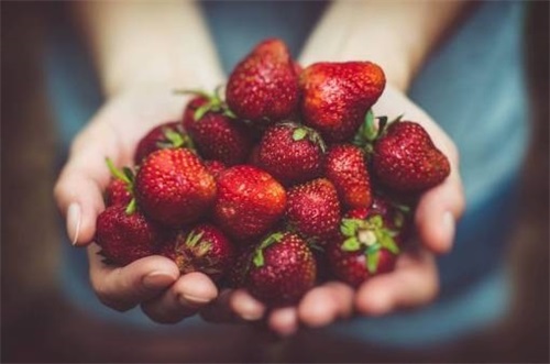 霸气公会名字大全2025