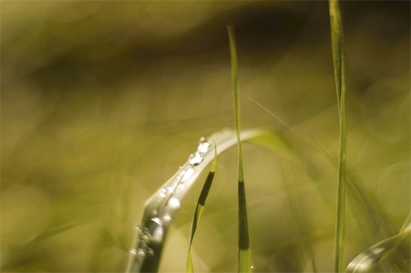 黑暗冰冷网名男生