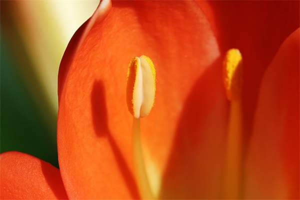 炫酷文言文网名男生