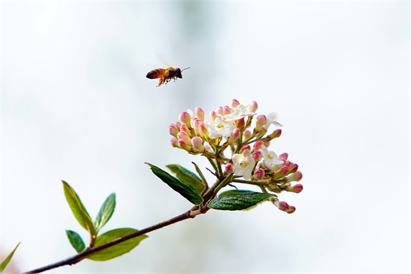 不生孩子网名男生