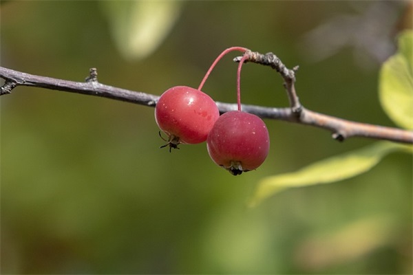 男生网名超拽长