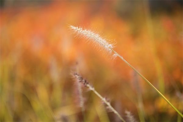 特殊的网名自创男生