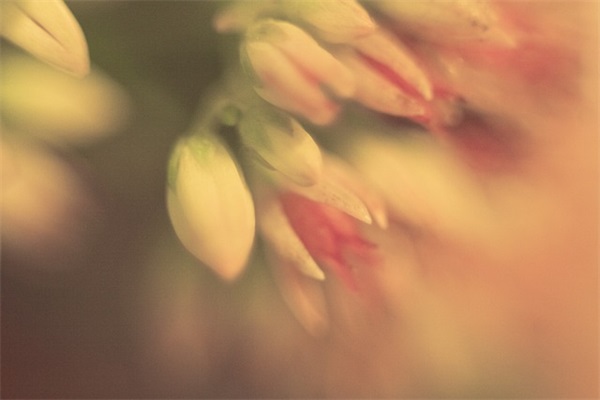 冰冷的男生网名大全