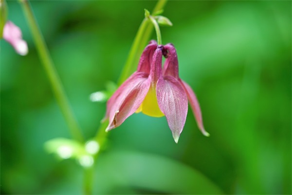 男生网名叫烟什么