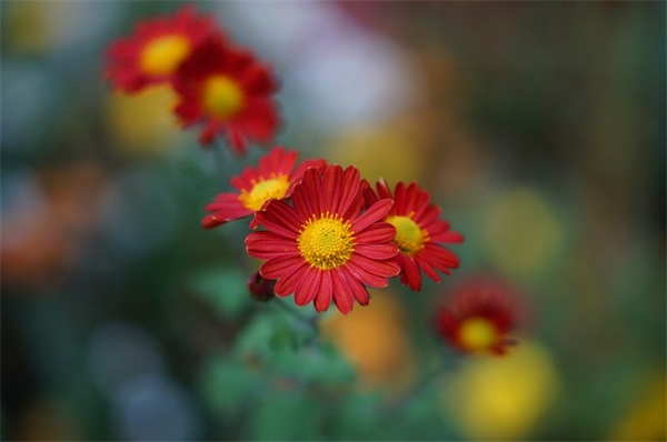 帅气扣扣网名男生头像