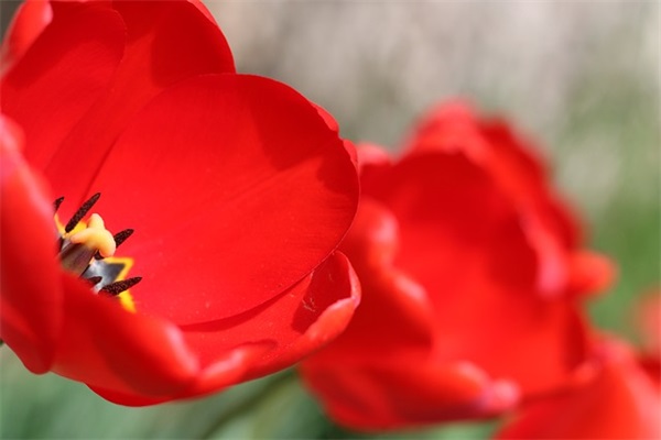 日落青山的网名男生