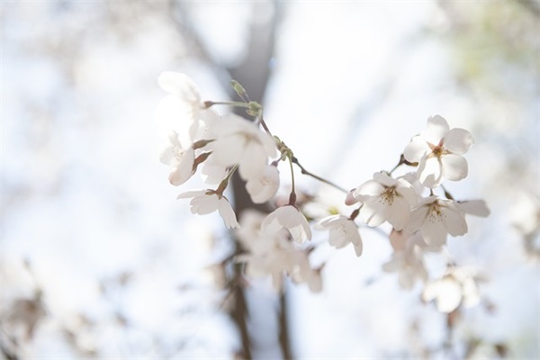 孤独心痛的网名男生
