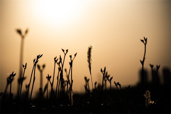 姜开头的网名男生