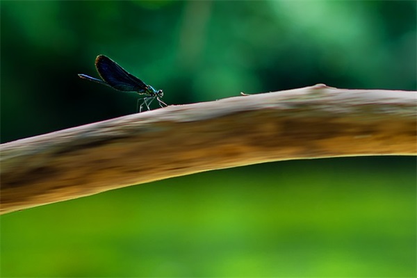 土味网名头像男生
