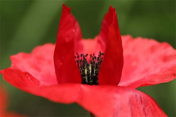 男生网名正反意思大全