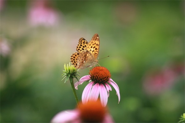 七个字网名男生网名