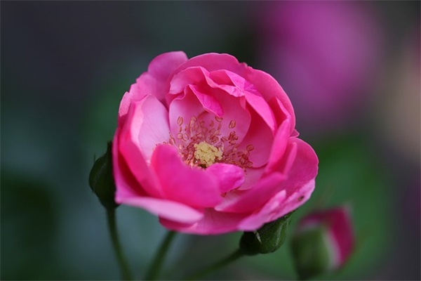 扣扣网名男生带火字