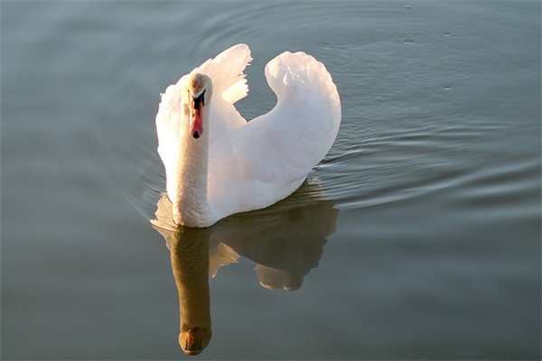 个性带里字的网名女生