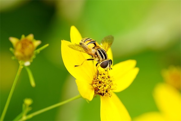 男士个性意镜网名