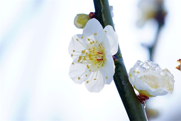 微信网名简单男生网名