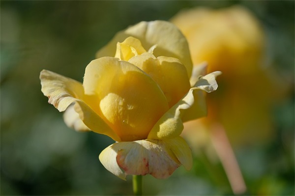 qq飞车组队网名