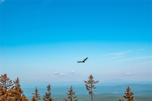 qq网名篮球名字大全