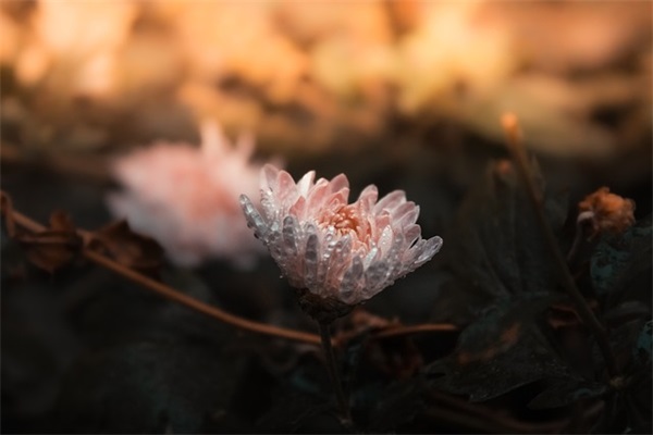 可爱的叠字网名3