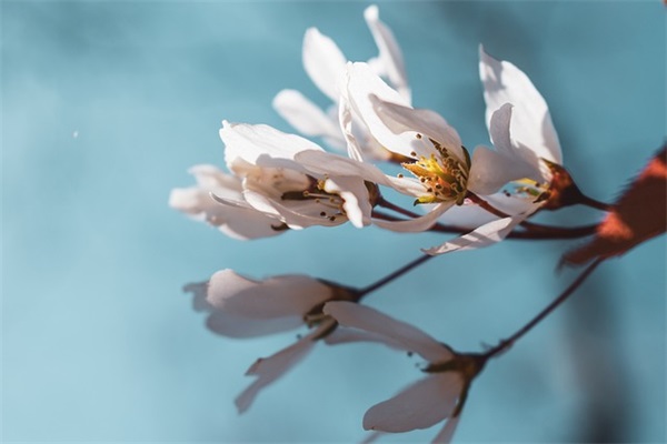 刻苦铭心个性网名