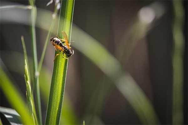 网名五字个性网
