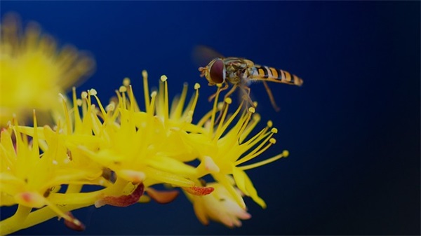 简单暖心的网名