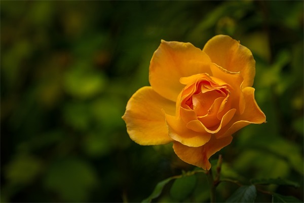 军人用的qq网名