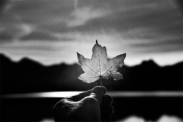 古风网名有缘字