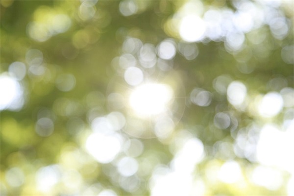 五个字的网名个性网名大全