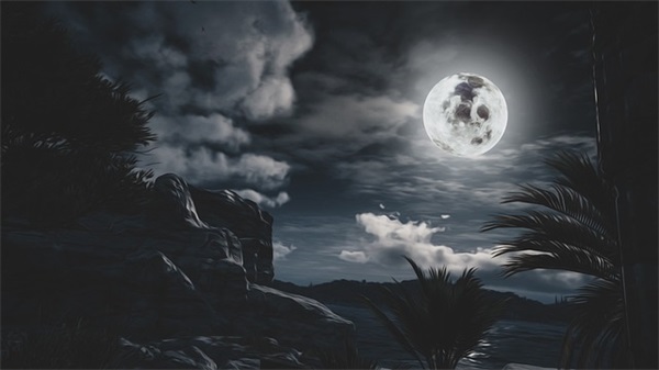 熊猫的可爱网名