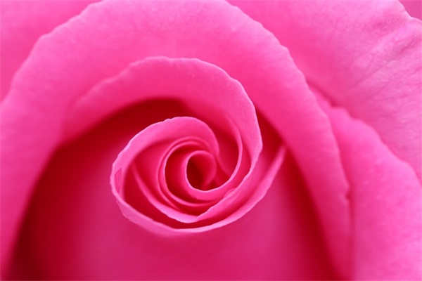 可爱的微信网名女生