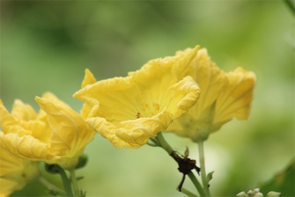 七八个字的网名古风