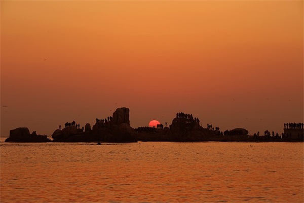 网名qq男生兄弟网名大全