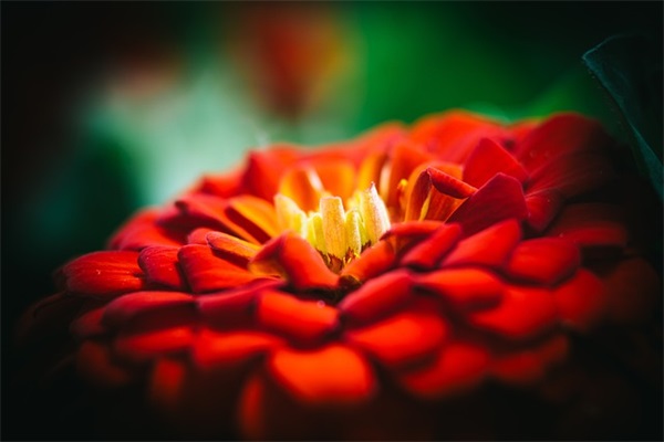 个性网名大全女生