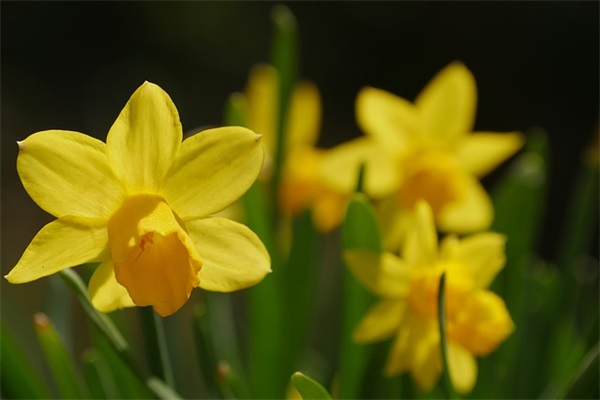 五个字网名古风带辉