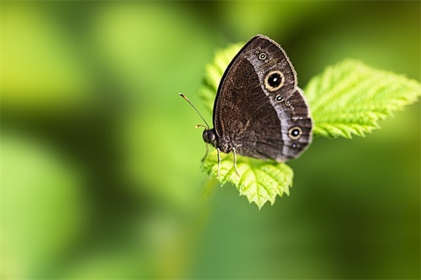 中年女人qq网名