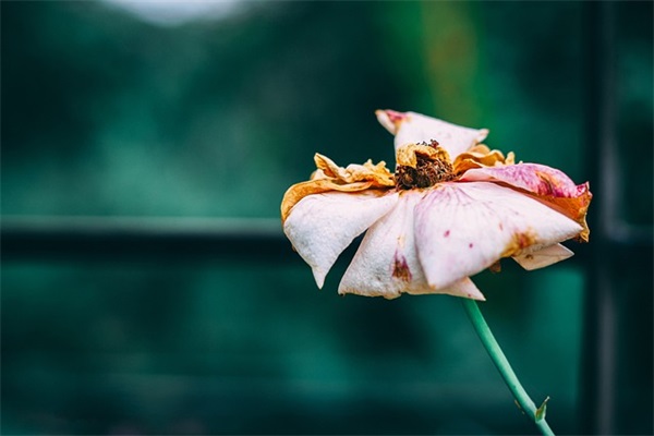 带七qq网名大全