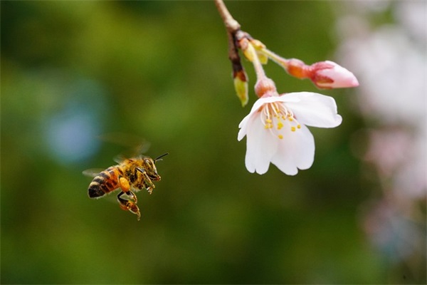 个性网名设计网