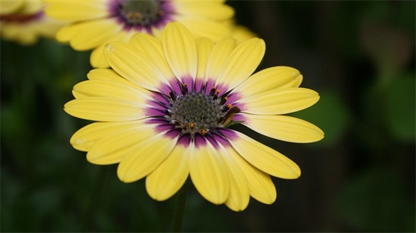 我要个性网网名女生