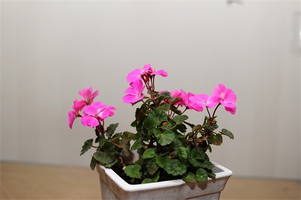 qq网名八个字带i