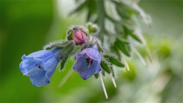 qq相册游玩网名