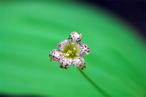 黄字个性字体网名男生