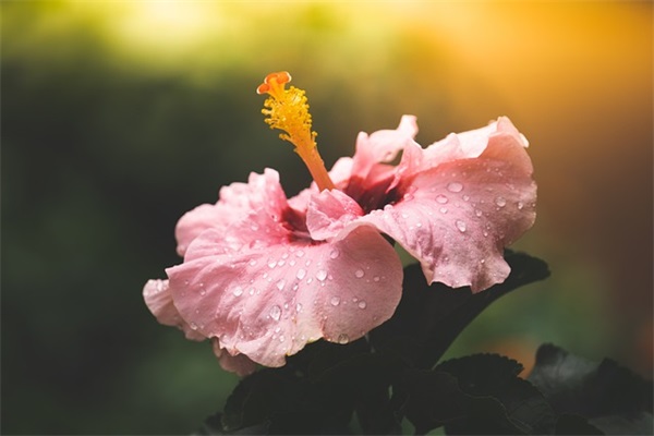 最有个性的战队网名