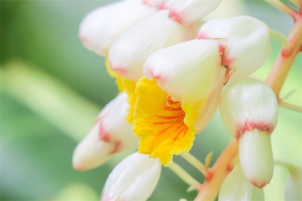 qq飞车网名带爷