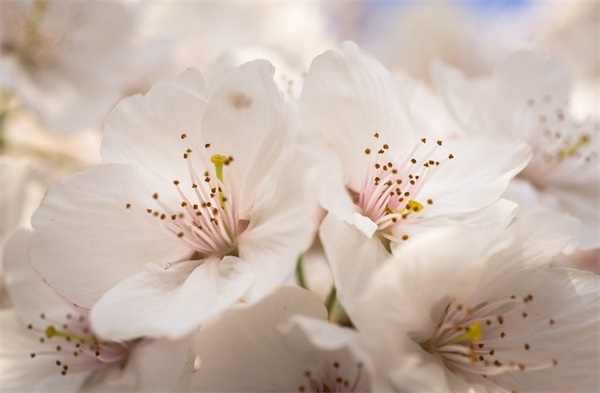 周易宝宝起名的讲究