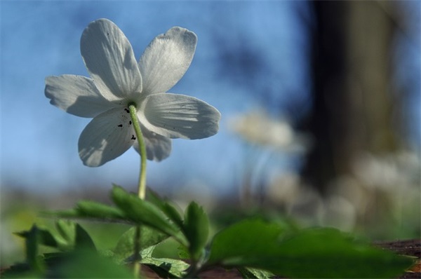 聪明要涵养女宝宝名字推荐